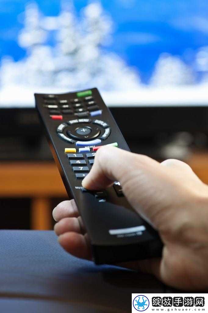 他人拿遥控器控制自己