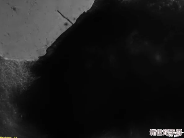 AAAAA级毛皮最火的一句话