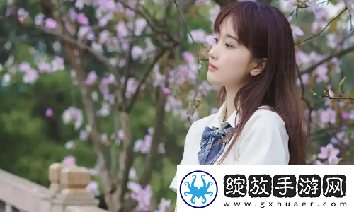 欧洲尺码日本尺码专线不卡顿畅通无阻