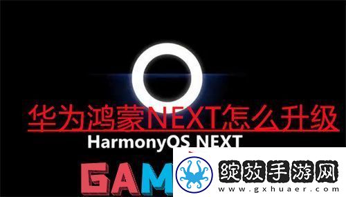 华为鸿蒙NEXT怎么升级