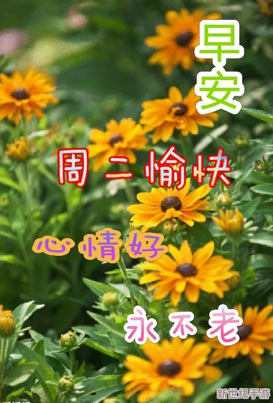天天干天天爽