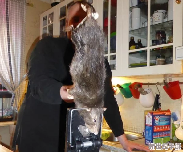 猫和老鼠手游攻略