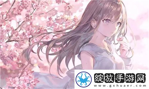 WORDPRESS成品站免费获取心得分享