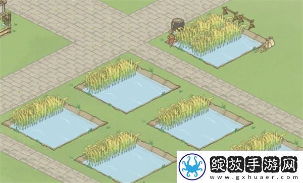 解忧小村落萌新开局策略