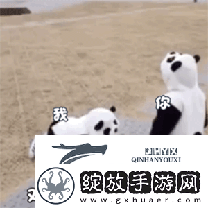 抖音热门表情包动图有哪些
