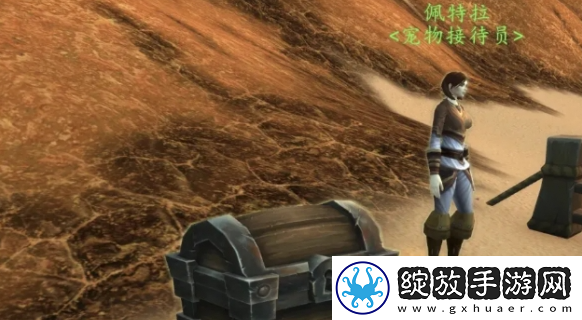 魔兽世界20周年庆祝便是乐趣怎么挂机