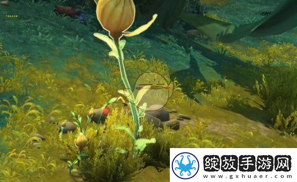 魔兽世界调味生活任务怎么做