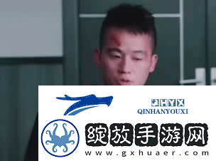 抖音热门表情包动图有哪些
