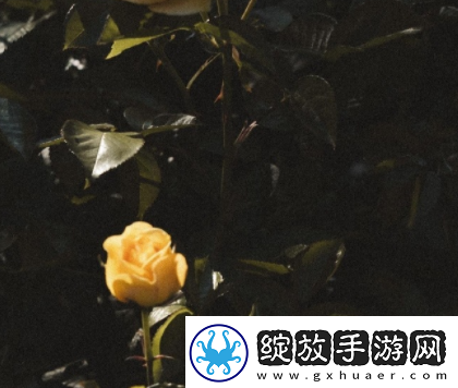 能够让你度过分手期的治愈文案分手后能够治愈你的说说