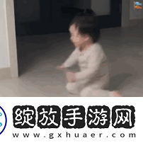 抖音热门表情包动图有哪些