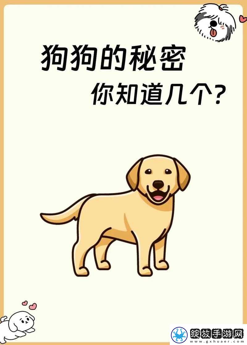 熊大快跑