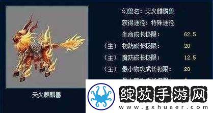 魔域口袋版法师幻兽合体