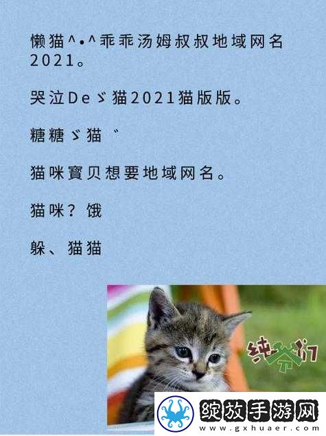 新版猫咪地域名推荐大全