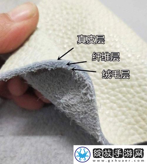 aaaa级毛皮和aaaa的区别