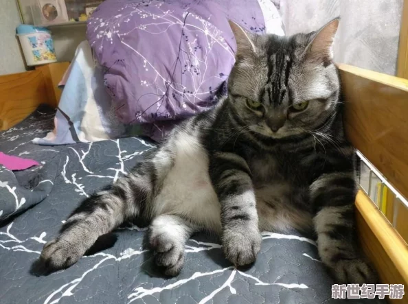床上无遮挡