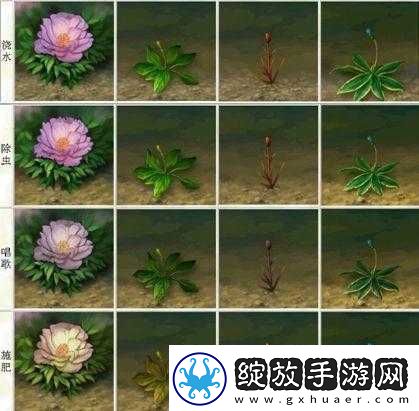 宫廷风云
