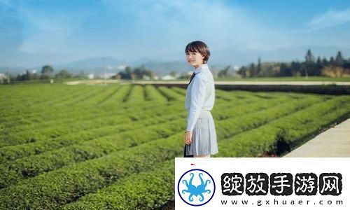 免费网站在线观看人数更新时间观众表示