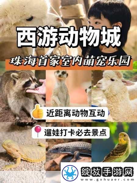 天谕手游探索指南