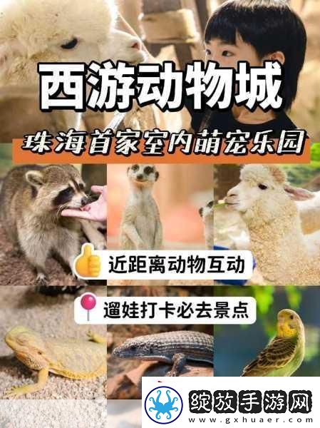 天谕手游探索指南