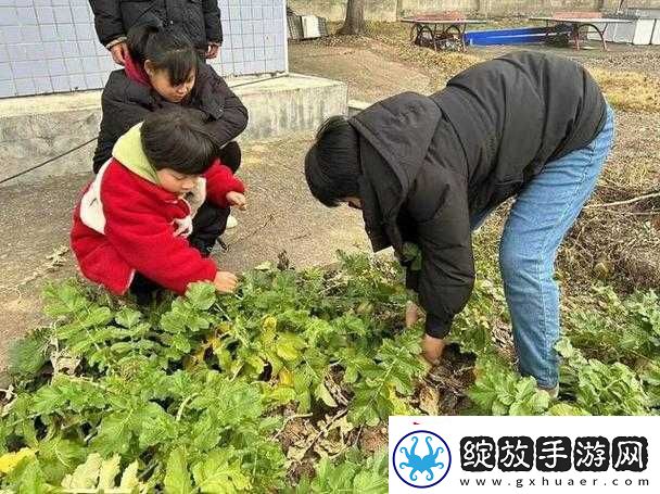 光腿拔萝卜