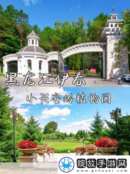 伊春园2023入口直达大象