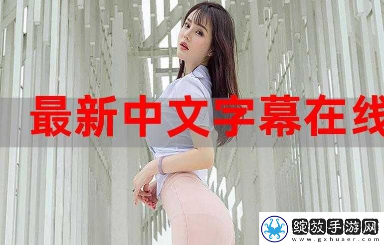 中文字幕相关