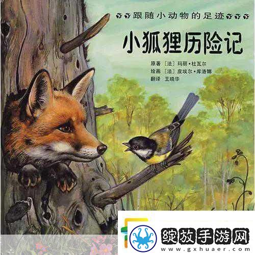 小狐狸冒险记大事件！全新活动及更新公告揭秘