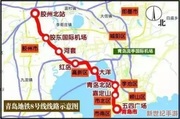 沈哪娜