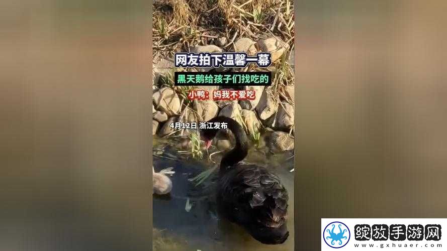 小孩半夜喂姐姐吃萝卜