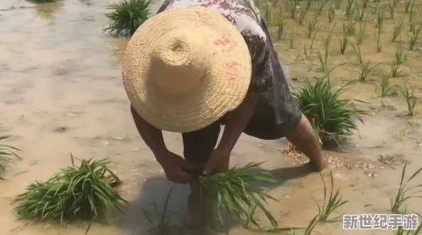 床上100种插秧方法简笔画