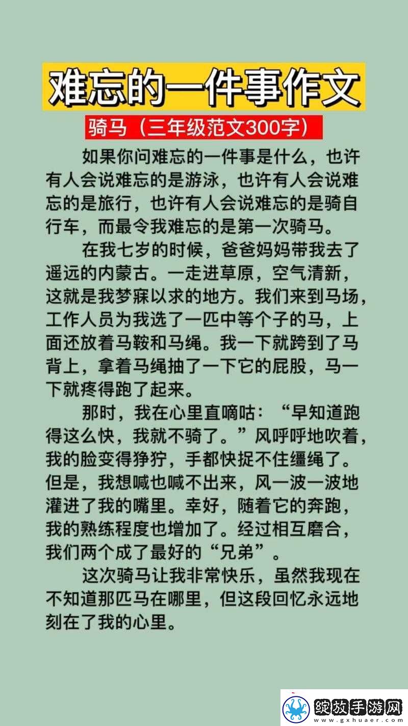 漂亮的丰年经