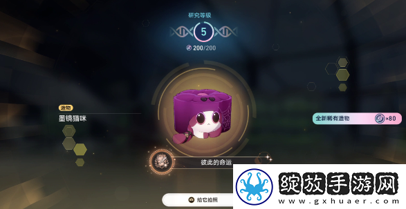 崩坏星穹铁道6异宠拾遗团聚任务怎么做