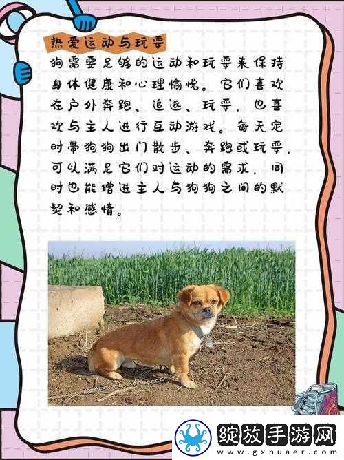 明日之后狗作用及习性选择推荐攻略