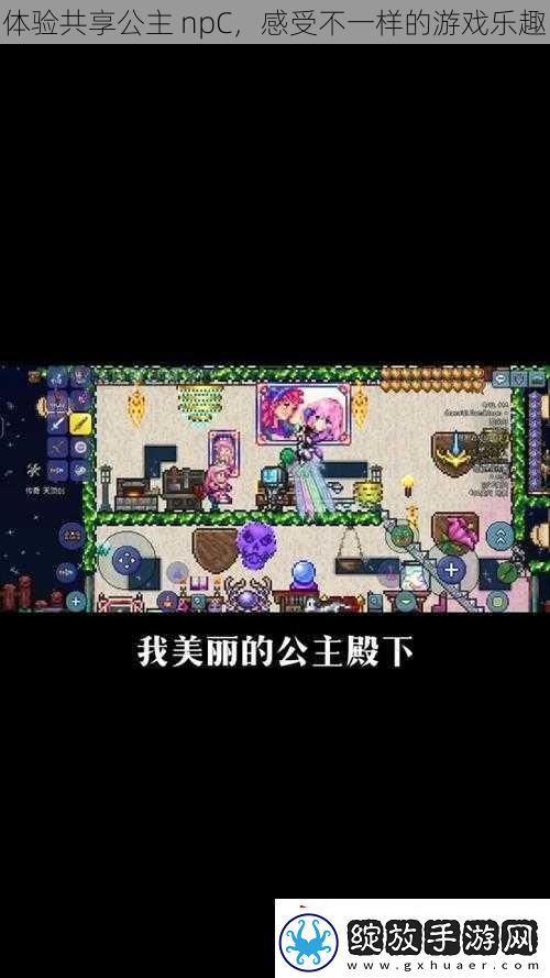 体验共享公主