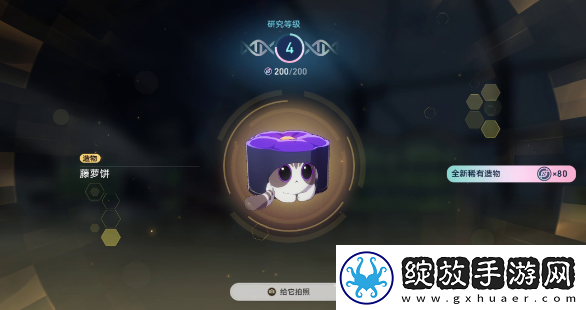 崩坏星穹铁道6异宠拾遗团聚任务怎么做