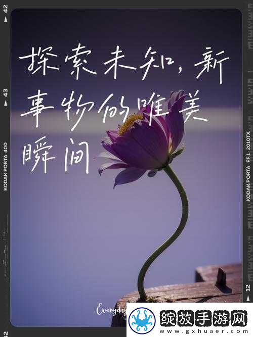 女体拷问研究所