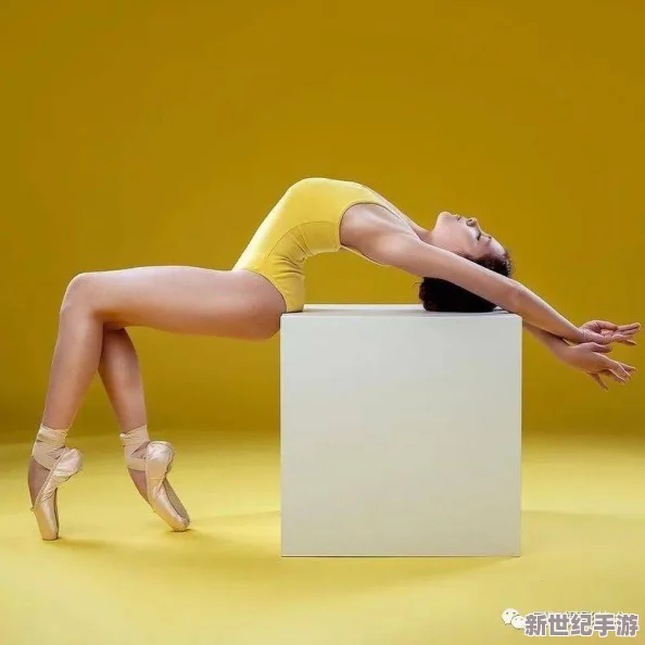 欧美人体极品大胆露私