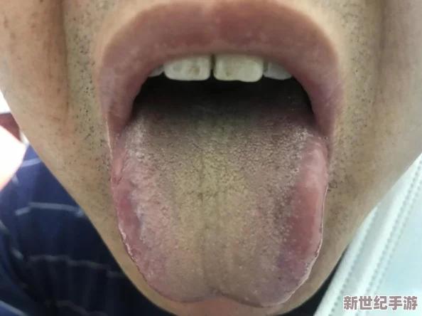 100种流眠软件进入窗口