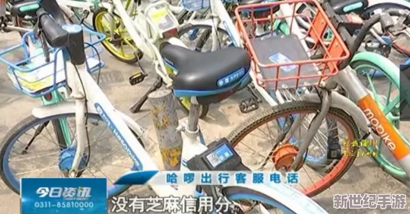 国产****在线免费观看