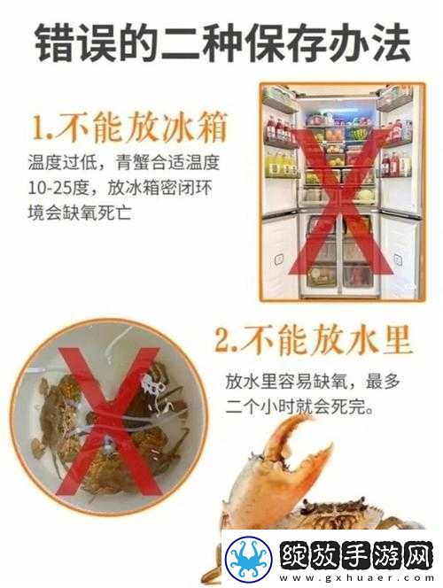 缺氧冰箱使用指南与功效解析