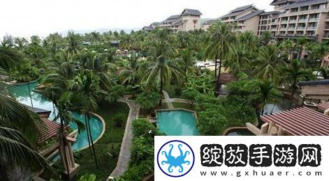 希尔顿6316房间视频谁有
