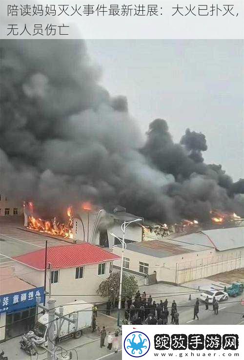 陪读妈妈灭火事件最新进展