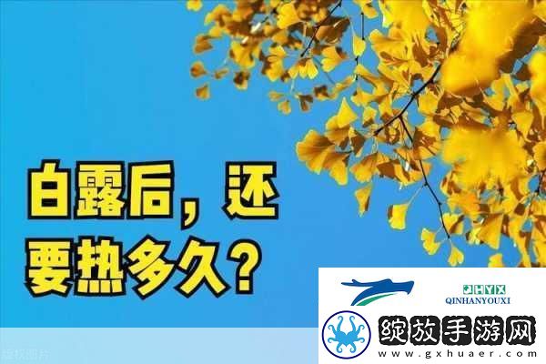 久久热在线观看