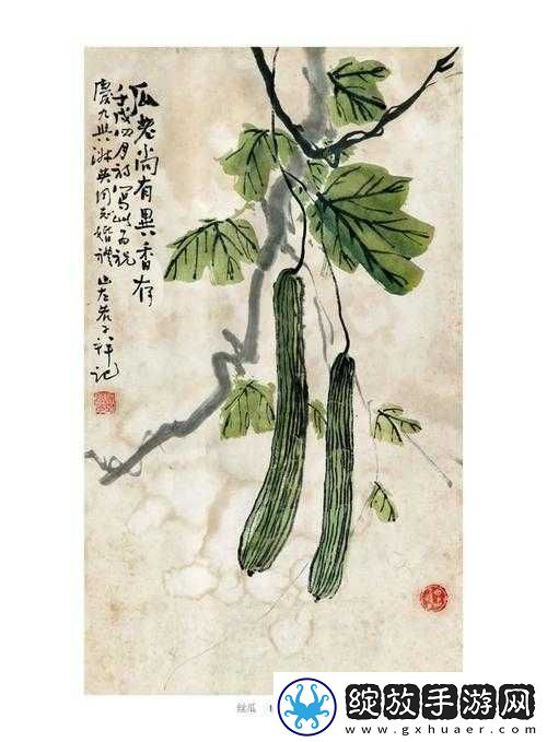 草莓视频免费无限看