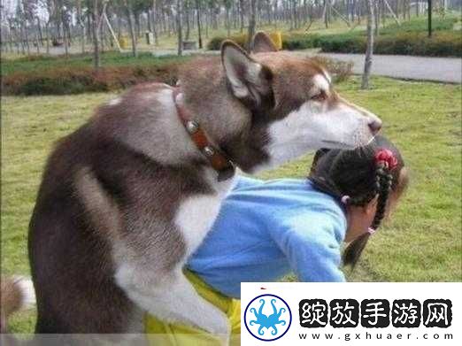 欧美人与动物交