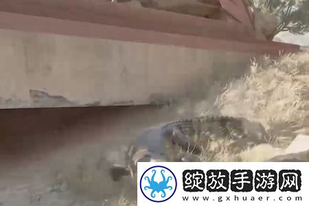 三角洲行动鳄鱼作用是什么三角洲行动鳄鱼怎么击杀