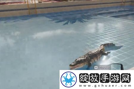 三角洲行动鳄鱼作用是什么三角洲行动鳄鱼怎么击杀