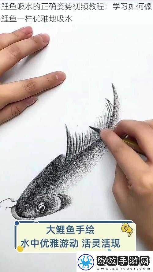 鲤鱼吸水的正确姿势视频教程
