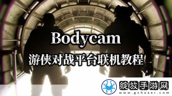 孤岛惊魂2游侠对战平**机教程