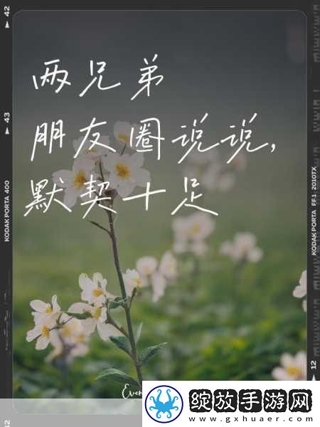 4ph兄弟默契